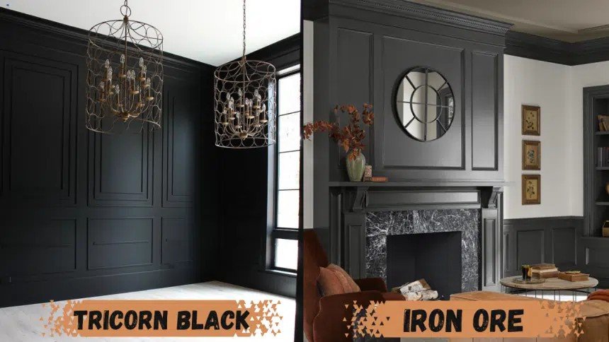 Performance in Different Lighting Conditions